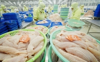 Mở rộng thị phần ngành thủy sản: Điểm sáng từ các thị trường ngách