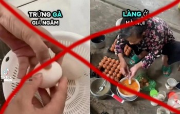 Bác thông tin trứng gà giả trên mạng xã hội
