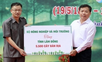 Lâm Đồng trồng 38 triệu cây xanh, bảo vệ 538.000 ha rừng