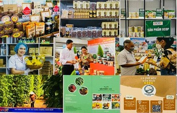 Đắk Nông: Nông sản vươn xa nhờ thương mại điện tử