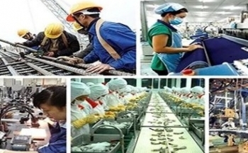 Điểm nhấn trong Kế hoạch hành động của Chính phủ về phát triển kinh tế tư nhân