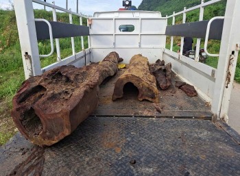 Vụ nghi gỗ sưa ở Quảng Bình: Xử lý như thế nào?