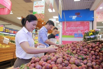 Từ nếp nương đến siêu thị: Hành trình Saigon Co.op đồng hành cùng nông sản vùng cao