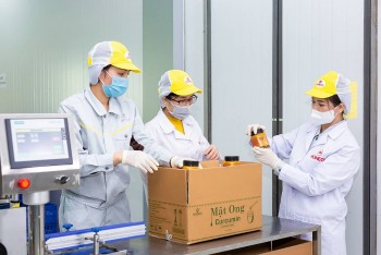 Mật ong Tam Đảo: 'Giọt ngọt' từ đại ngàn và giấc mơ nâng tầm sản phẩm vùng cao