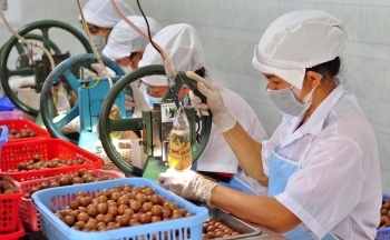 Lan toả thương hiệu mắc ca Di Linh