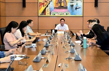 Cao tốc Quy Nhơn - Pleiku và Biên Hòa -Vũng Tàu: Thúc đẩy phát triển vùng sau sáp nhập