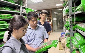 Bộ Y tế tăng cường giám sát thị trường dược phẩm, mỹ phẩm