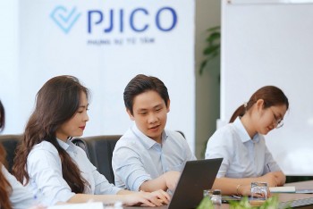 Quý I/2025, Bảo hiểm PJICO kinh doanh khởi sắc