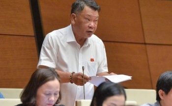 Đại biểu Quốc hội đề xuất tạm dừng thanh tra nếu phát hiện chồng chéo