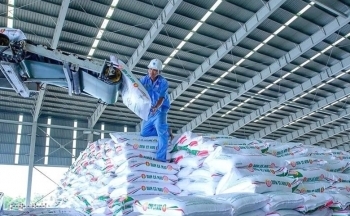 Bứt phá toàn diện, PVCFC giữ thế chủ lực vụ hè thu