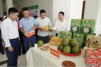 Bứt phá từ OCOP, Sơn La định hình nông thôn mới