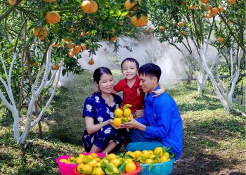 Cam Bảo Phương: Hành trình khởi nghiệp từ những quả cam tinh hoa