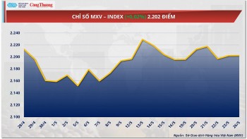 Giá cao su thế giới tăng - giảm trái chiều