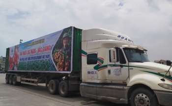 Bắc Giang: Xúc tiến tiêu thụ vải thiều và sản phẩm OCOP