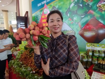 Trải nghiệm cùng món ăn độc đáo mang hương sắc vải thiều