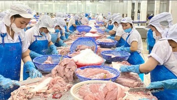 Tin Công Thương 28/5: Xuất khẩu cá tra sang thị trường EU duy trì đà tăng trưởng
