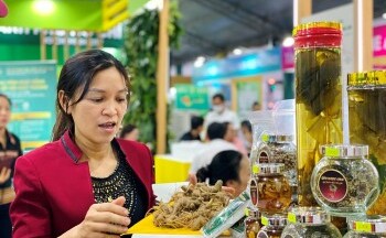 5.000 loài dược liệu quý vẫn chỉ là nguyên liệu thô