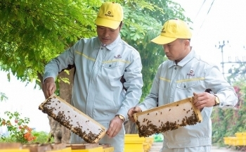 Thương hiệu sản phẩm OCOP: Niềm tin người dùng nông thôn mới