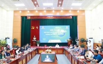 Chuyển đổi năng lượng hướng tới Net Zero: Mệnh lệnh xanh thời đại mới