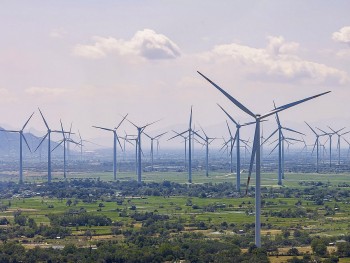 Ninh Thuận trải thảm đỏ thu hút đầu tư: Hành động thực chất, định hướng bền vững