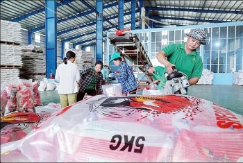 Tin Công Thương 30/5: Giá gạo Việt tăng đến 90 USD/tấn, lượng đứng thứ 2 thế giới