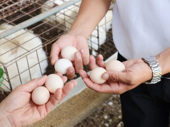 Hai hợp tác xã được sử dụng địa danh để đăng ký nhãn hiệu tập thể