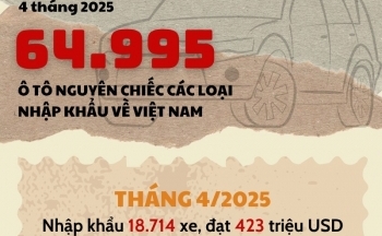 Gần 65.000 ô tô nguyên chiếc các loại được nhập khẩu trong 4 tháng
