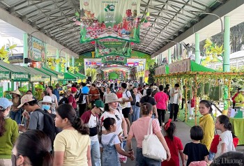 “Săn” trái cây giá rẻ tại Lễ hội trái cây Nam Bộ