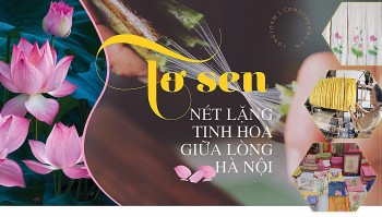 Longform | Tơ sen: Nét lặng tinh hoa giữa lòng Hà Nội