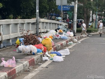 TP. Hồ Chí Minh: Cân rác tính tiền, còn nhiều băn khoăn?