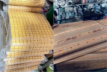 Chiếu làm mát đầu hè 2025 có giá bao nhiêu?