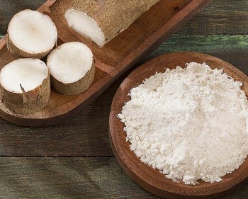 Xuất khẩu sắn tăng mạnh, mở rộng cơ hội thị trường mới