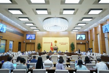 Chỉnh lý Luật Tiêu chuẩn và Quy chuẩn kỹ thuật: Bảo vệ người tiêu dùng