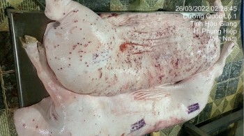 Heo C.P. bẩn: Khi bức ảnh, con dấu không thể nói dối