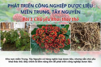 Bài 1: Phát triển công nghiệp dược liệu miền Trung Tây Nguyên
