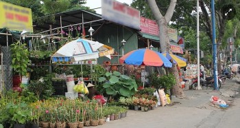 Thanh Hóa: Mê sinh vật cảnh, nhiều người 'sập bẫy' lừa đảo trên mạng