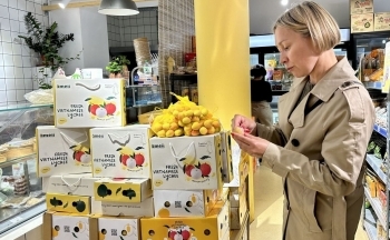 Không chỉ xuất khẩu, EVFTA giúp định danh nông sản Việt tại Pháp