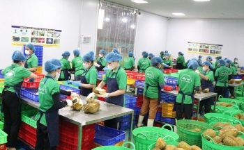 Doanh nghiệp ghi nhận các chính sách hỗ trợ tận dụng FTA