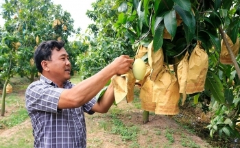 Mở rộng mã vùng nông sản chủ lực phục vụ nông thôn mới