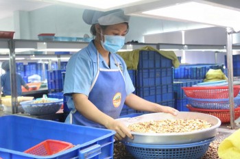 Sản xuất công nghiệp Đắk Nông tăng trưởng ổn định