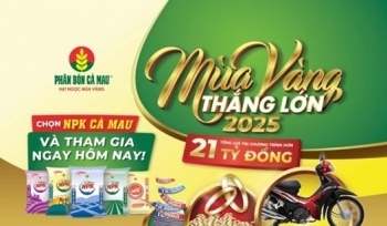 Phân bón NPK Cà Mau 20-10-10: chọn đúng, trúng mùa vàng