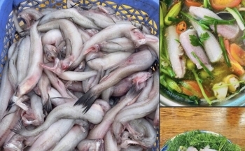 Cá khoai hóa đặc sản 'chợ mạng', giá cao vẫn hút khách