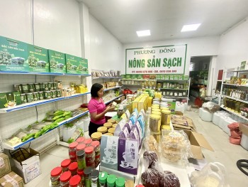 Sản phẩm OCOP Bắc Kạn: Khi tinh hoa bản địa không chỉ ở lại sau luỹ tre làng