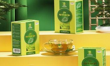 'Trà búp ổi Tân Yên' chính thức được bảo hộ địa danh