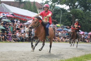 Lào Cai: Hấp dẫn chung kết đua ngựa Bắc Hà 2025