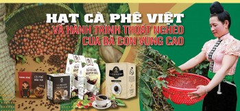 Longform | Hạt cà phê Việt và hành trình thoát nghèo của bà con vùng cao