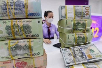 VND lấy lại đà hồi phục từ quý IV/2025
