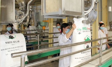 Giá đường trong nước cao gấp đôi đường nhập lậu