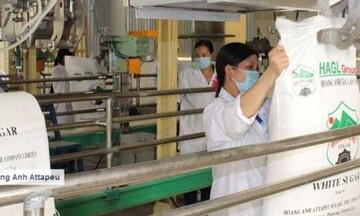 Xuất khẩu sẽ không làm tăng giá đường trong nước