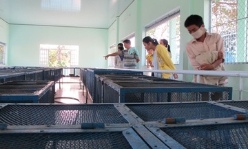 EVNCPC: Phấn đấu tiết kiệm 1,5% điện thương phẩm năm 2013